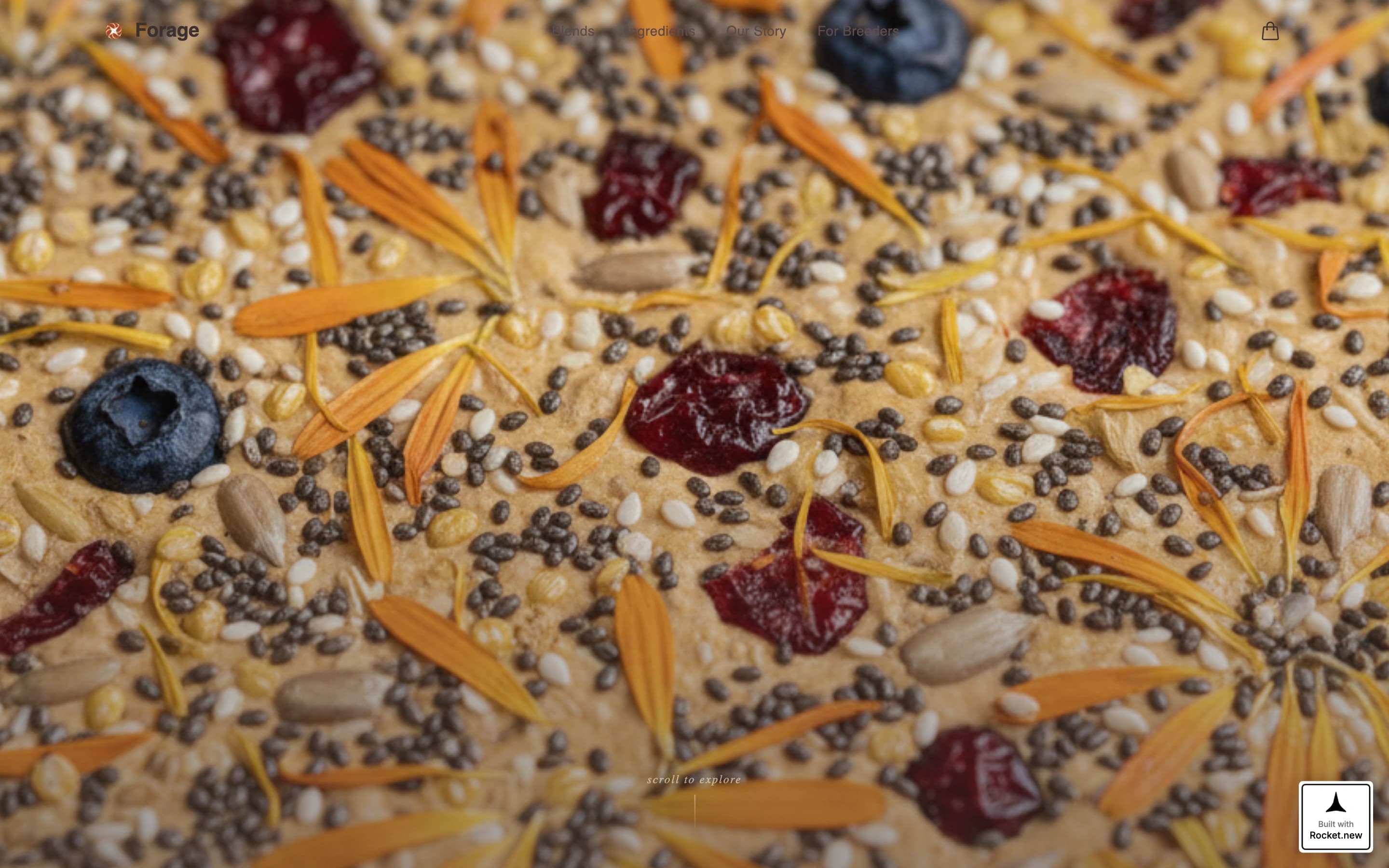 Forage - Artisan Birdfood Landing Page Template