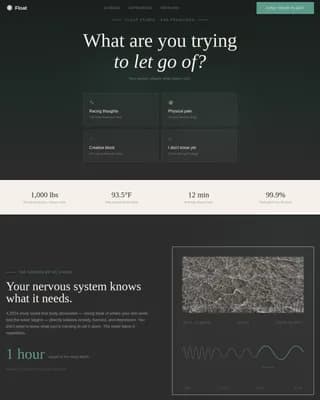 Wellness & Fitness templates