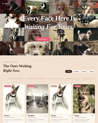 Pet & Animal templates