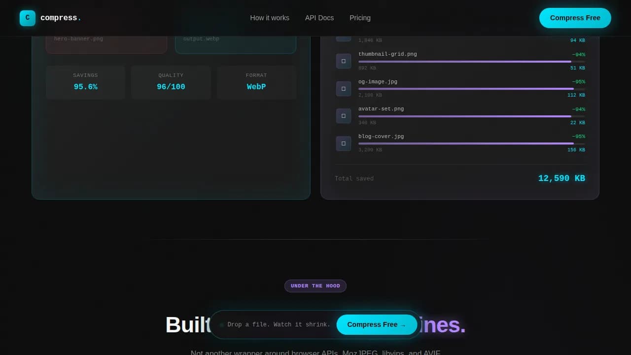 Micro-SaaS & Developer Tools Professional Website Template