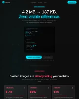 Micro-SaaS & Developer Tools Professional Website Template