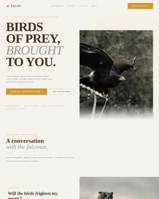 Falconer Booking Website Template