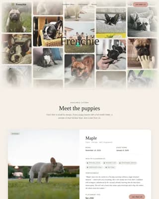 Frenchie — Elite Bulldog Breeder Landing Page Template