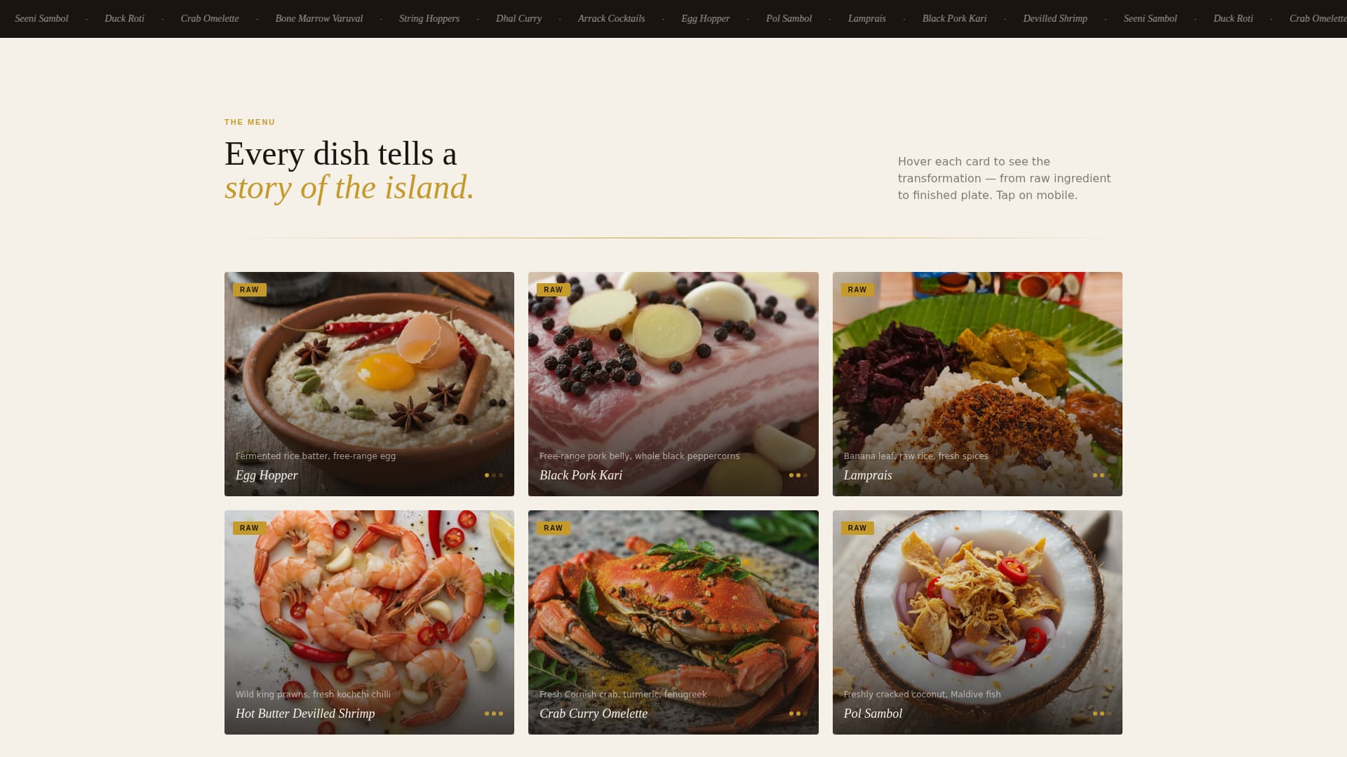 Sri - Modern Lankan Landing Page Template