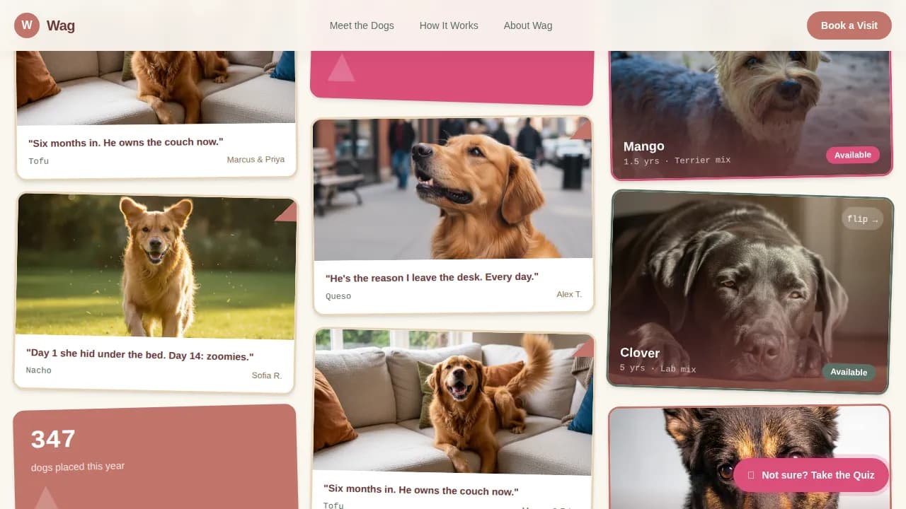 Dog Advanced Booking Website Template
