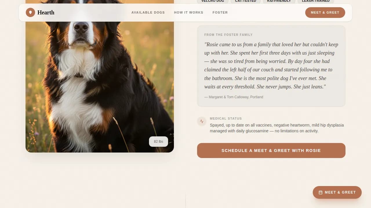 Dog Premium Booking Website Template
