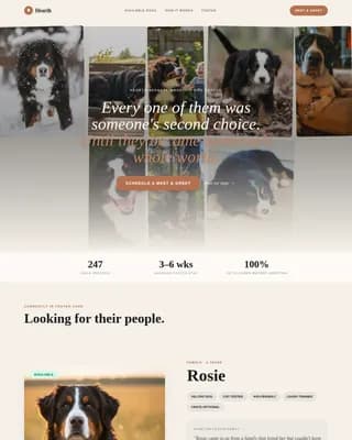 Dog Premium Booking Website Template