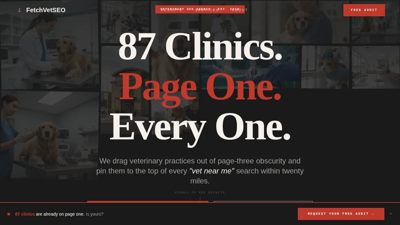 Fetch — Powerful Veterinary SEO Landing Page Template