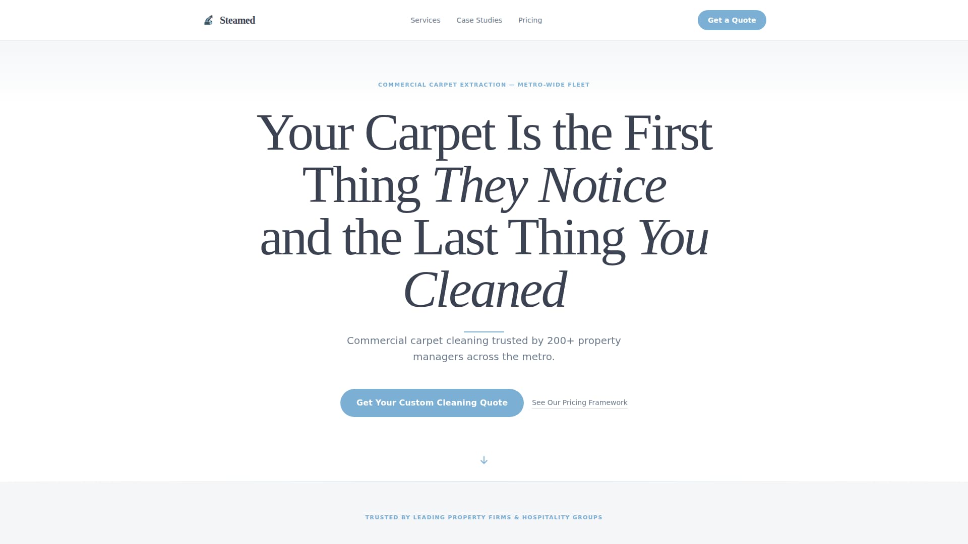 Steamed - Authoritative Carpetcleaning Landing Page Template