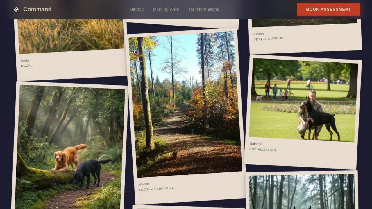 Doberman Booking Website Template