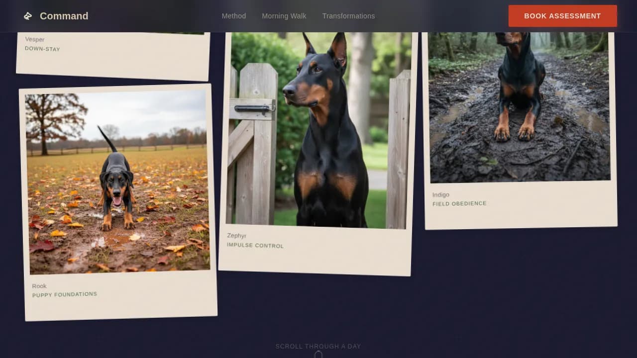 Doberman Booking Website Template