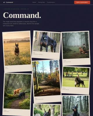 Doberman Booking Website Template