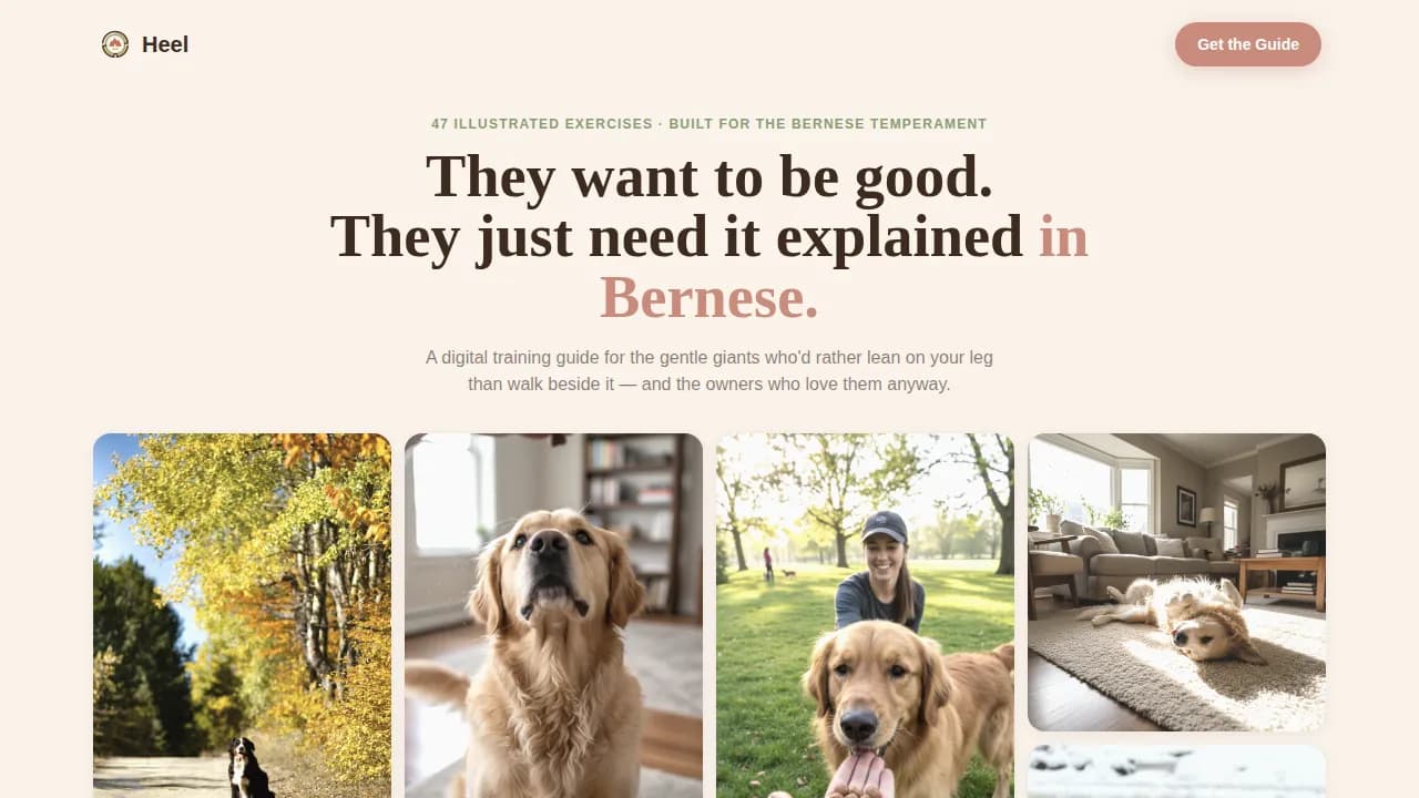 Dog Premium Professional Website Template