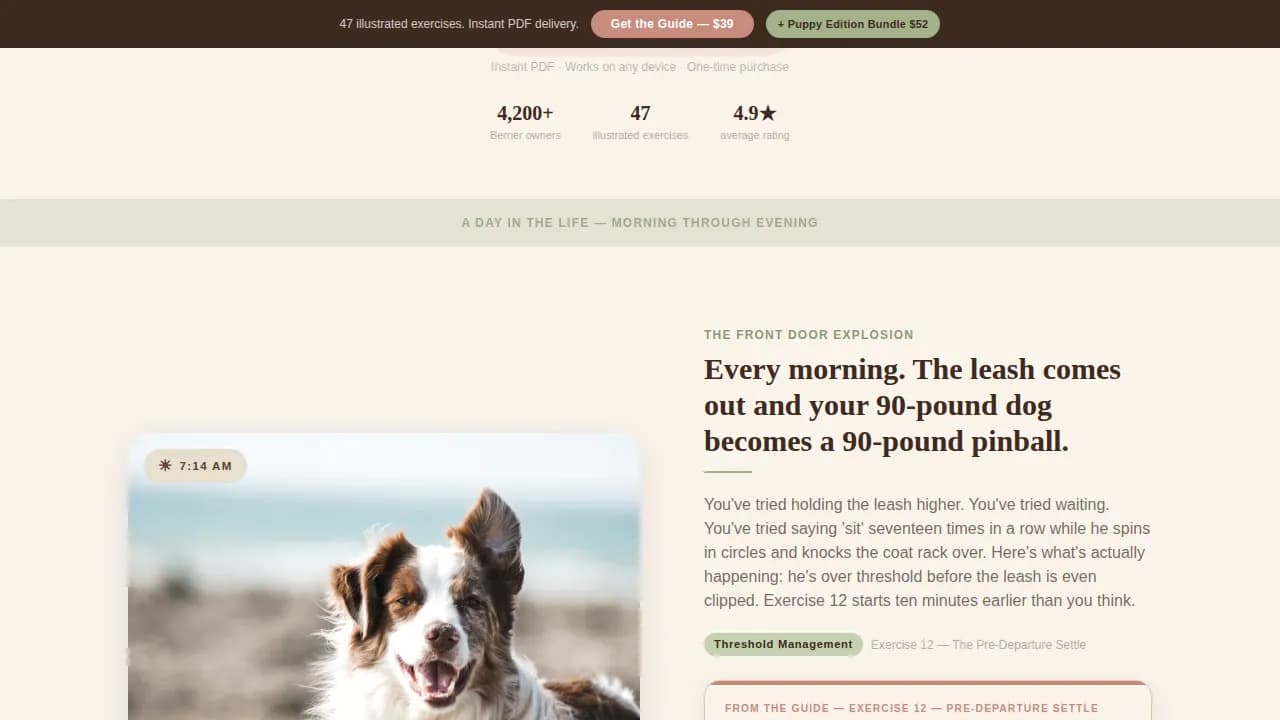 Dog Premium Professional Website Template
