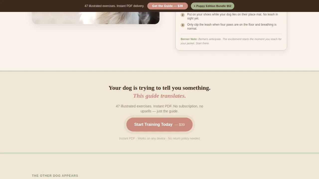 Dog Premium Professional Website Template