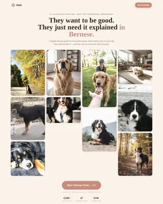 Dog Premium Professional Website Template