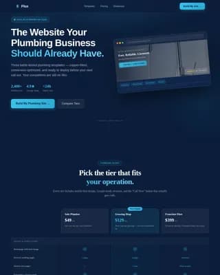 Plumbing Digital Presence Reviews Website Template