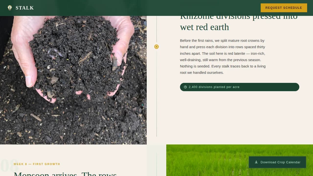 Stalk — Premium Lemongrass Farm Landing Page Template