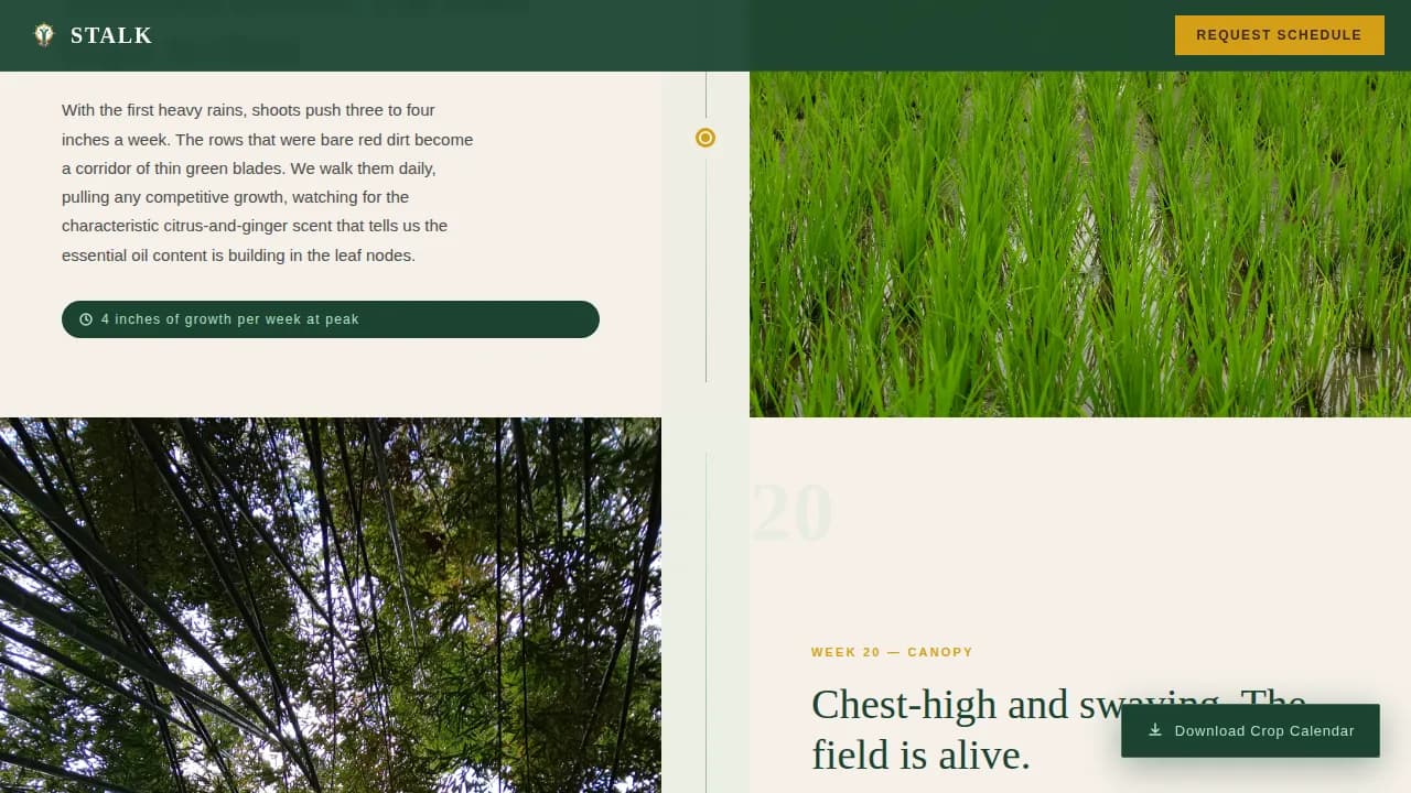 Stalk — Premium Lemongrass Farm Landing Page Template