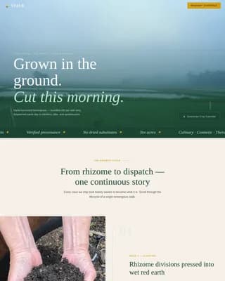 Stalk — Premium Lemongrass Farm Landing Page Template