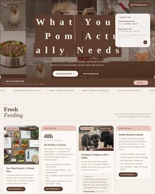 Pomeranian Blog Website Template
