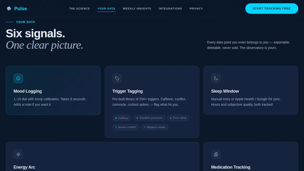 Consumer App & Platform Professional Website Template