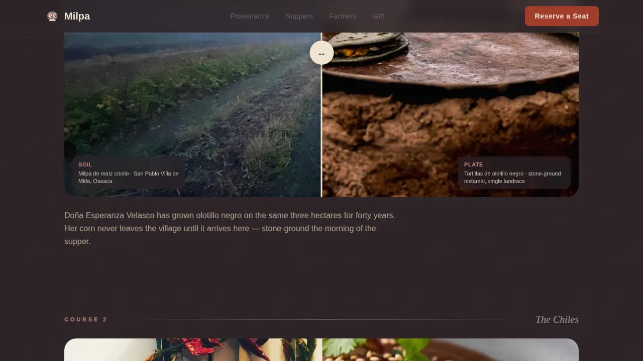 Mexican Dining Professional Website Template