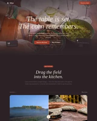 Mexican Dining Professional Website Template