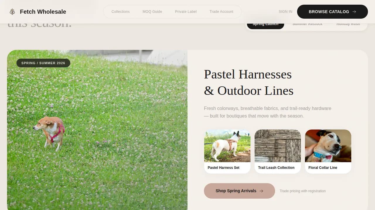 Pet Accessories & Toys Store Professional Website Template