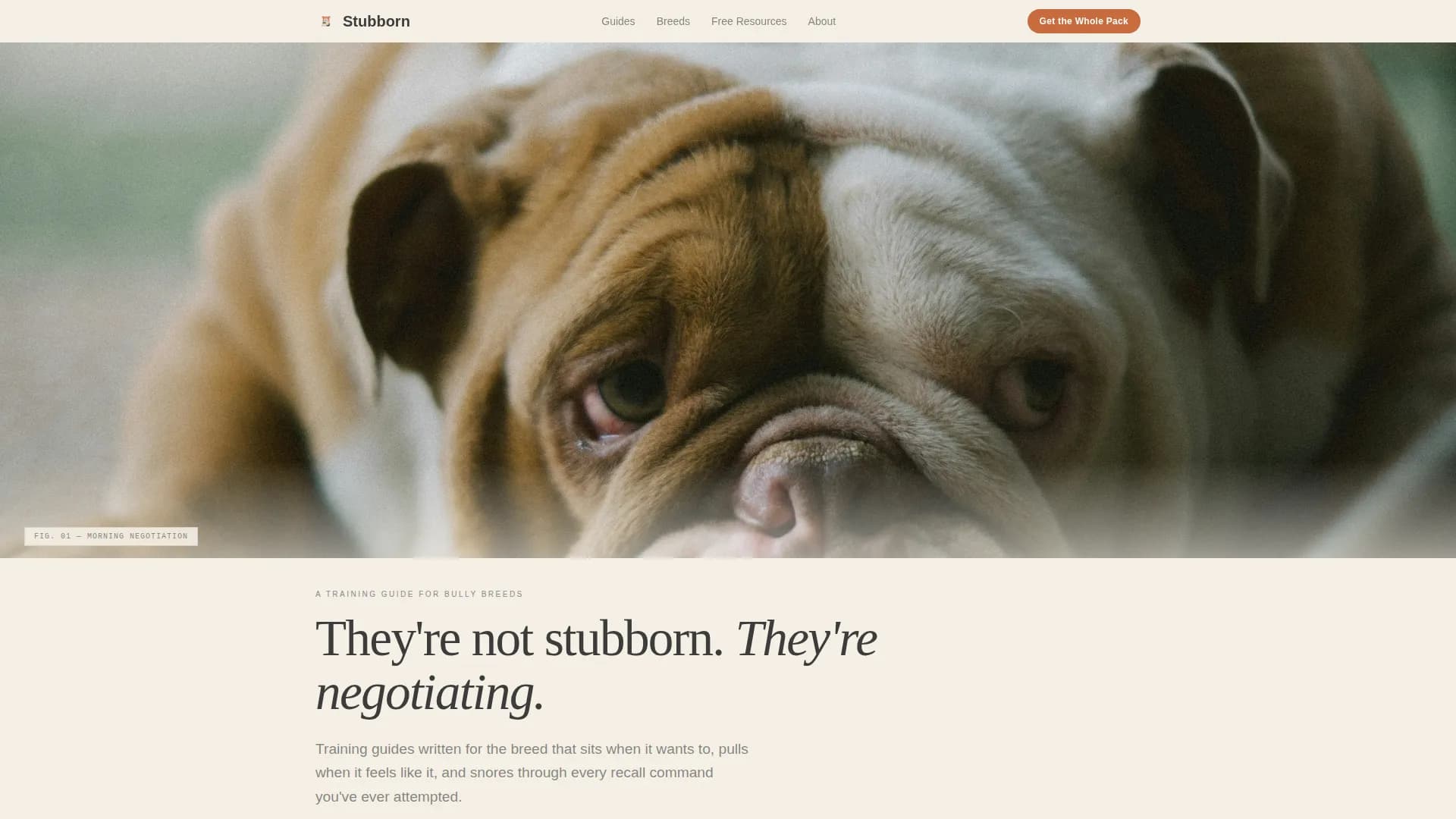 Dog Commercial Professional Website Template