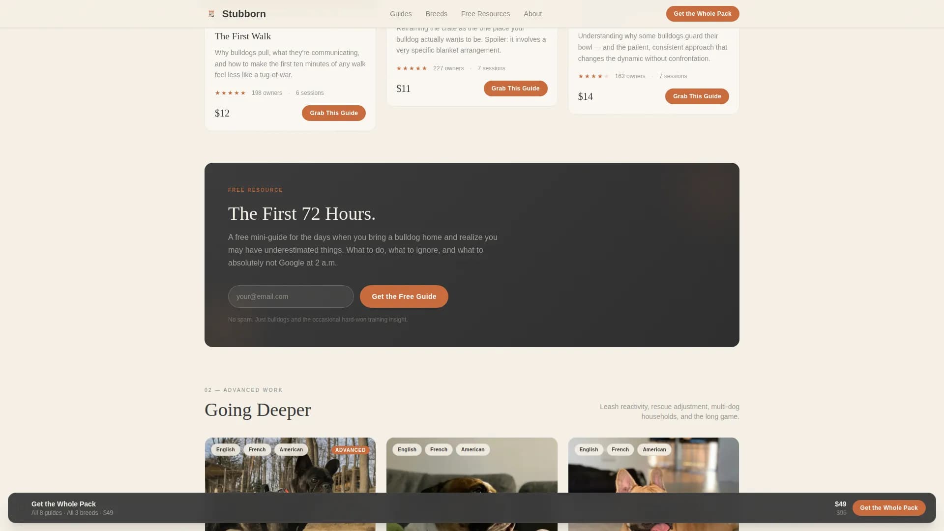 Dog Commercial Professional Website Template