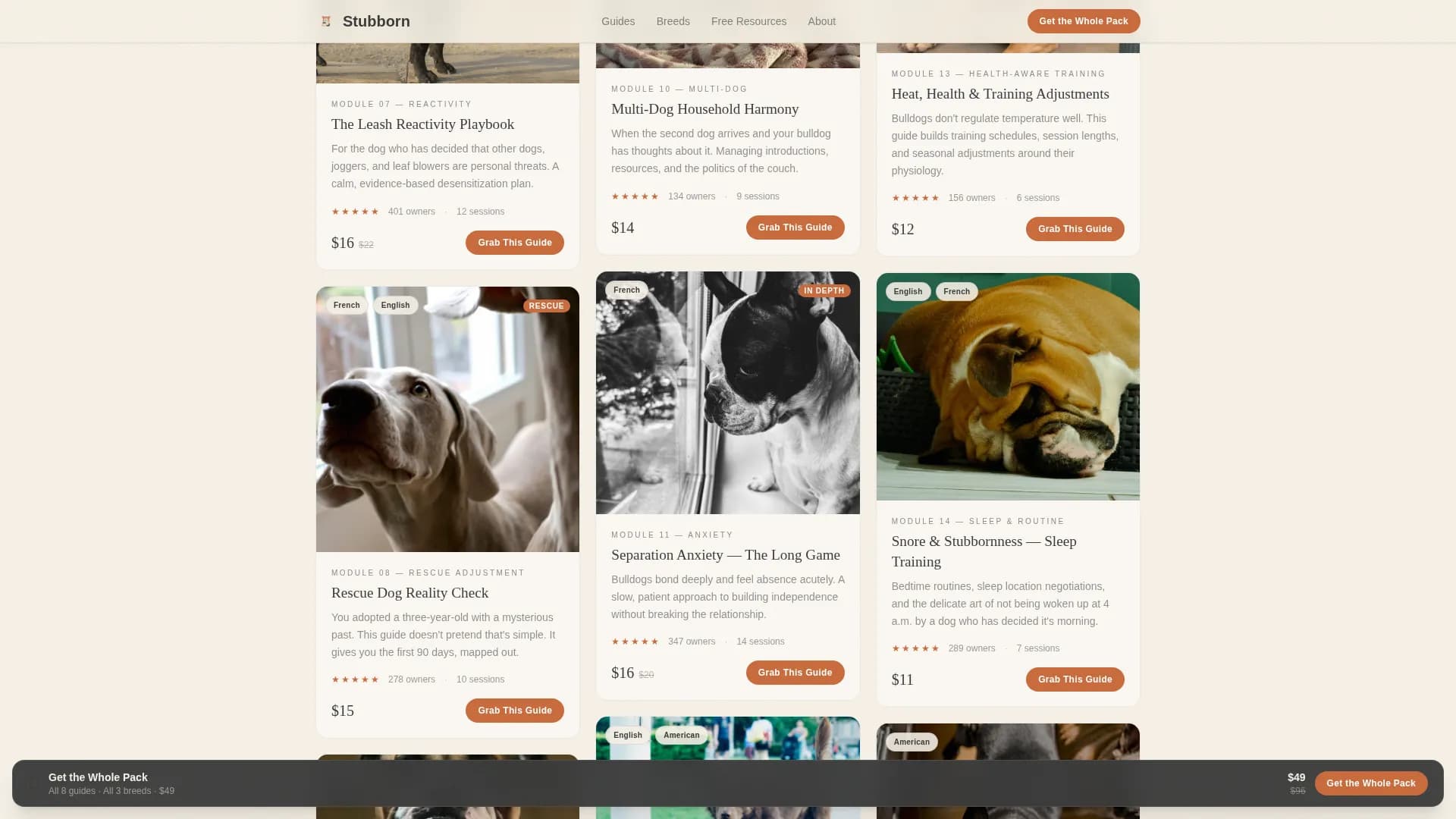 Dog Commercial Professional Website Template