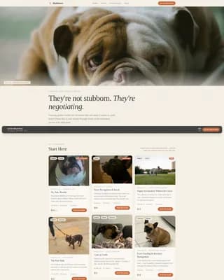 Dog Commercial Professional Website Template