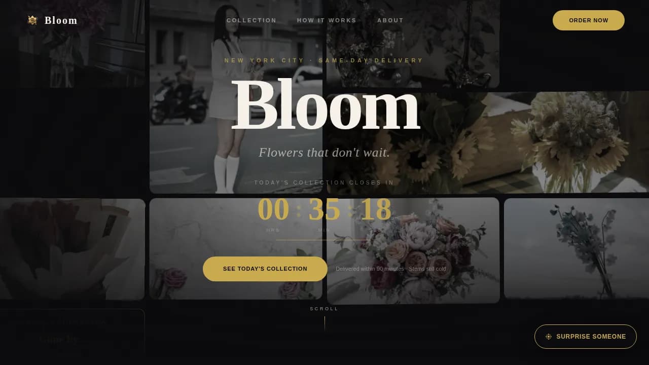 On-Demand Business Professional Website Template