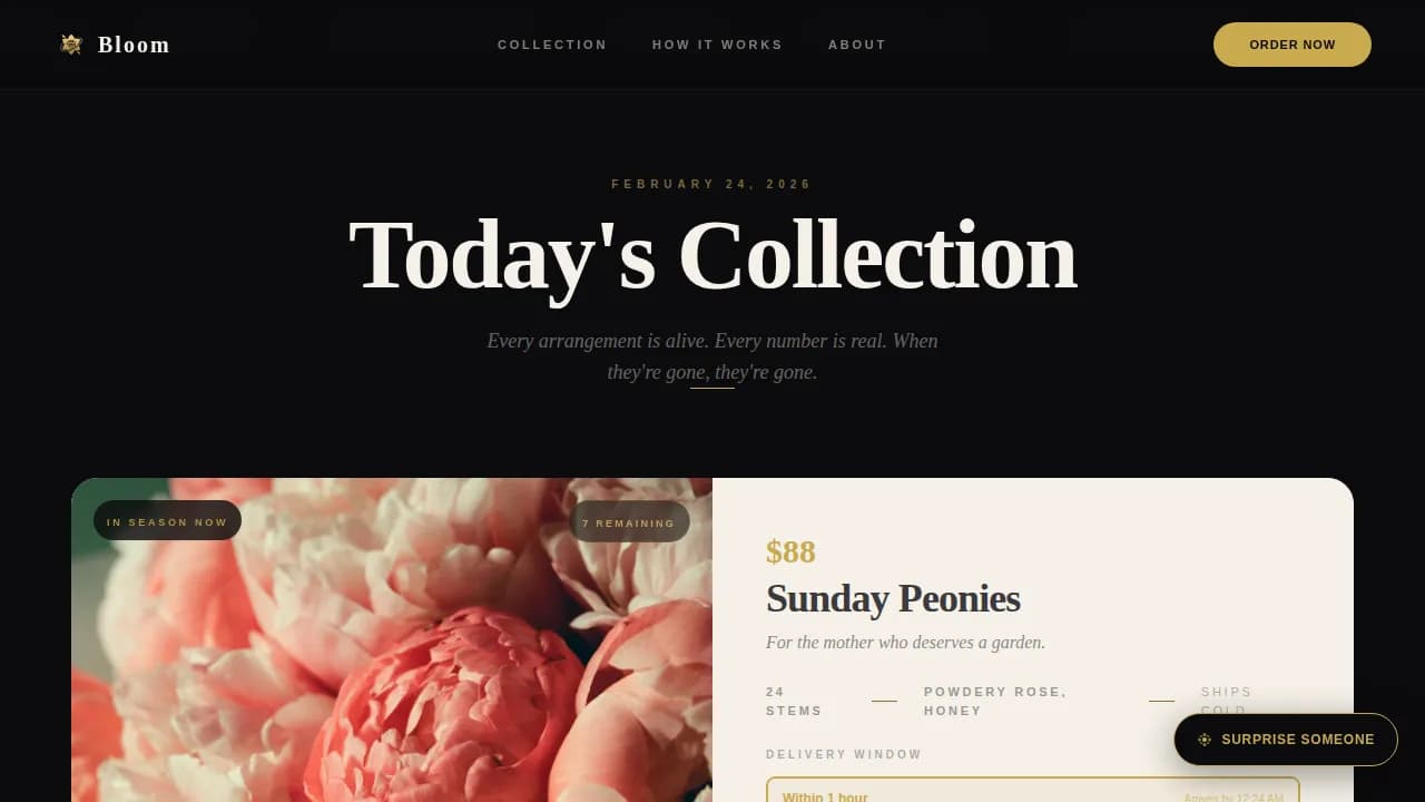 On-Demand Business Professional Website Template