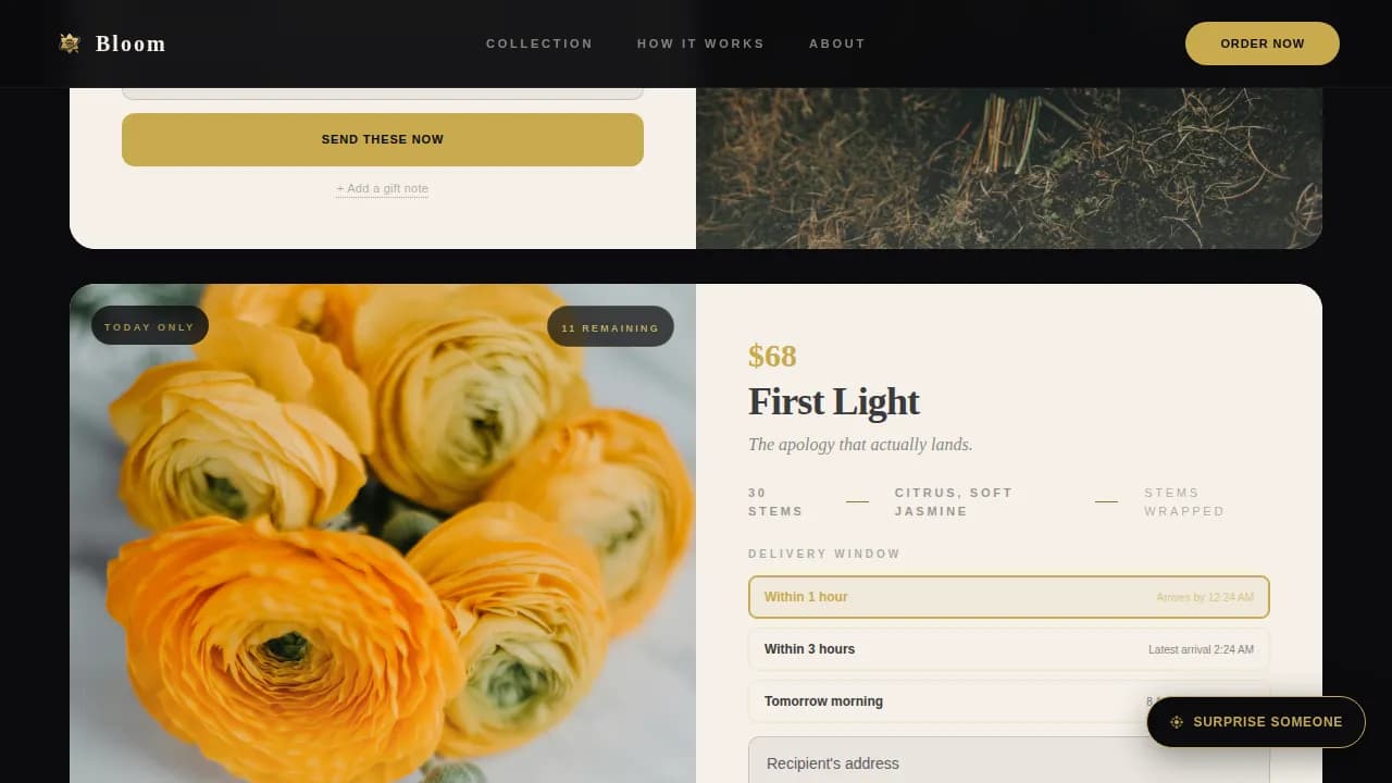 On-Demand Business Professional Website Template