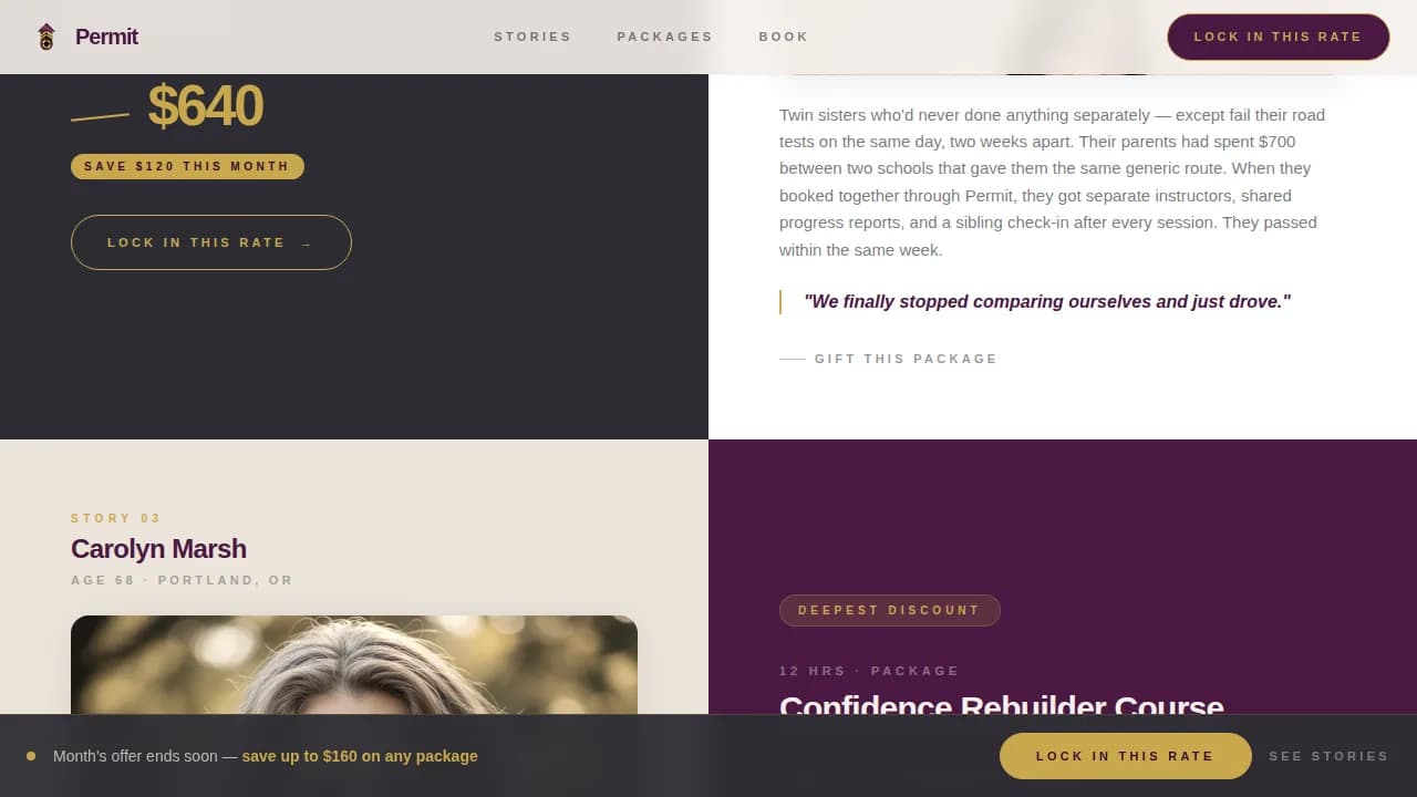 Drivers — Executive Driving School Landing Page Template