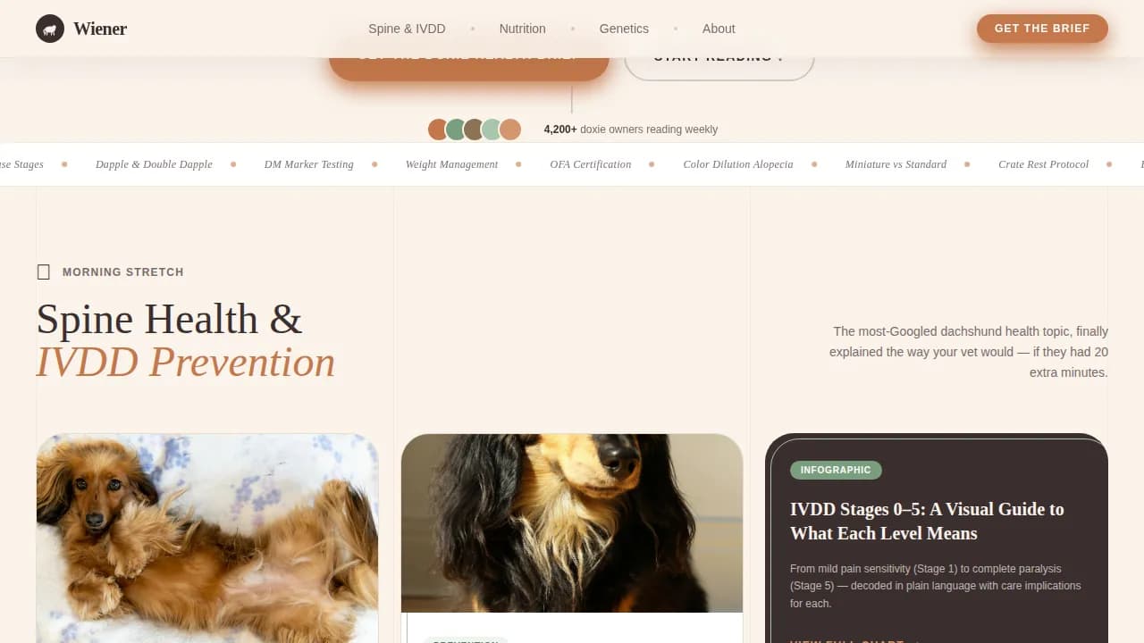 Dog Complete Blog Website Template
