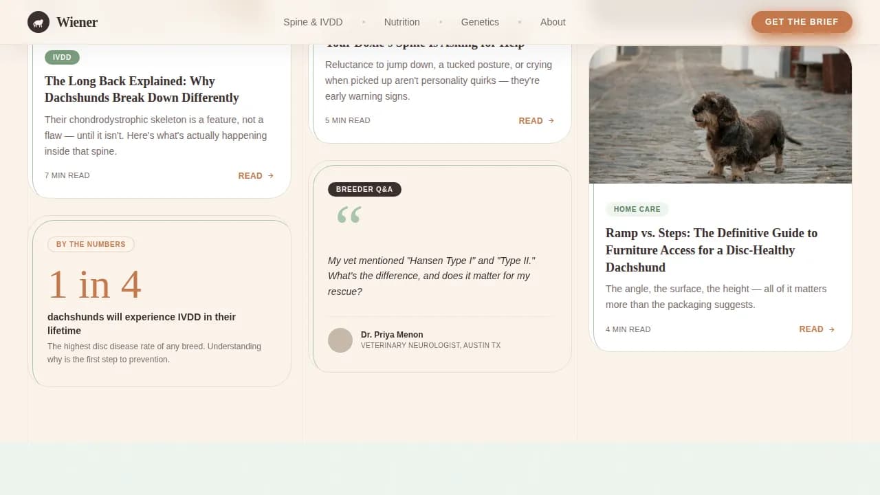 Dog Complete Blog Website Template