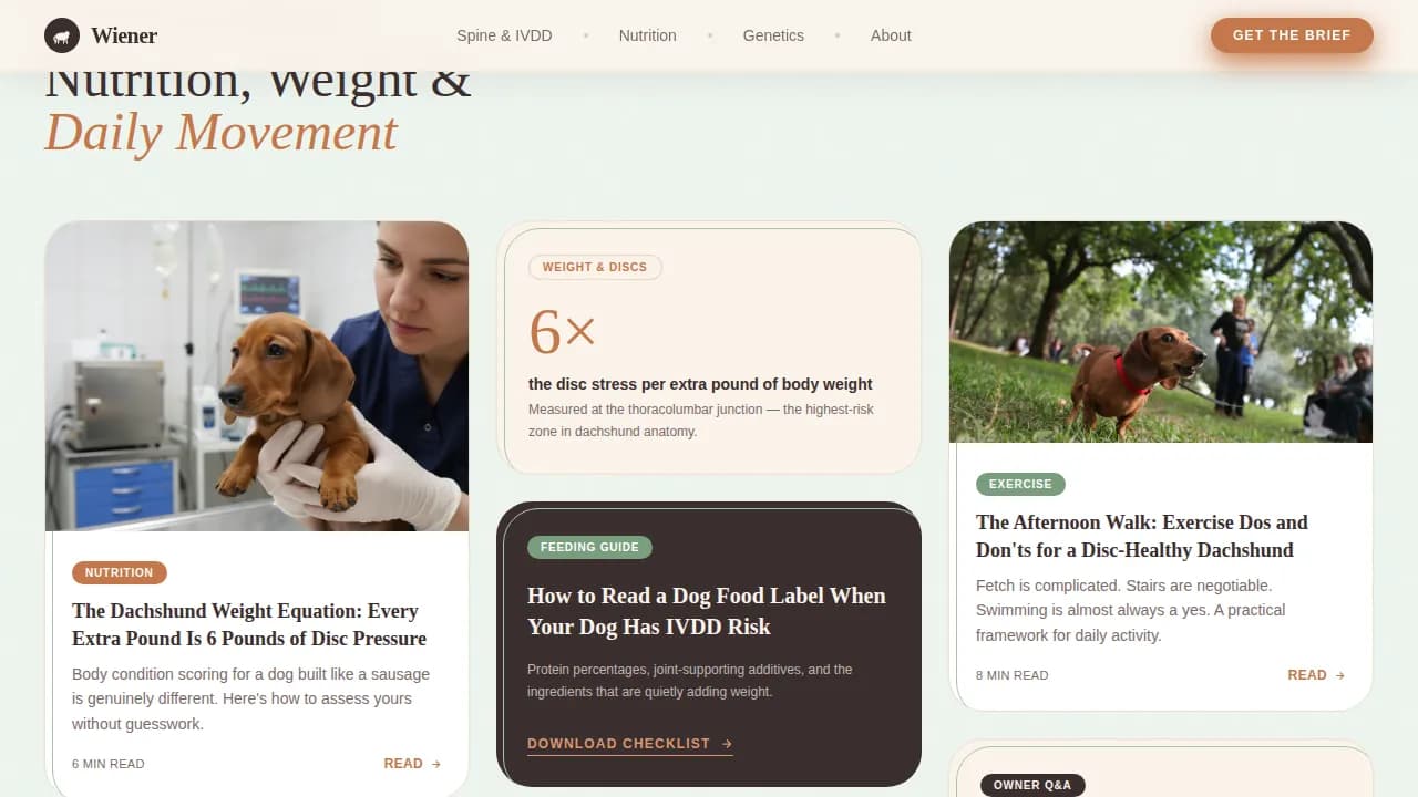 Dog Complete Blog Website Template
