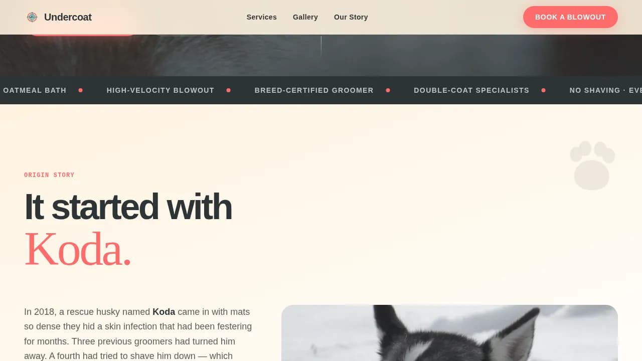 Undercoat — Professional Husky Grooming Landing Page Template