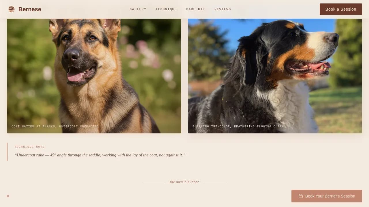 Alpine — Artisan Pet Grooming Gallery Landing Page Template