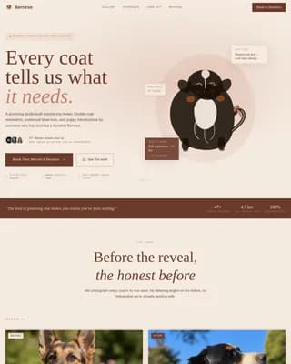 Alpine — Artisan Pet Grooming Gallery Landing Page Template