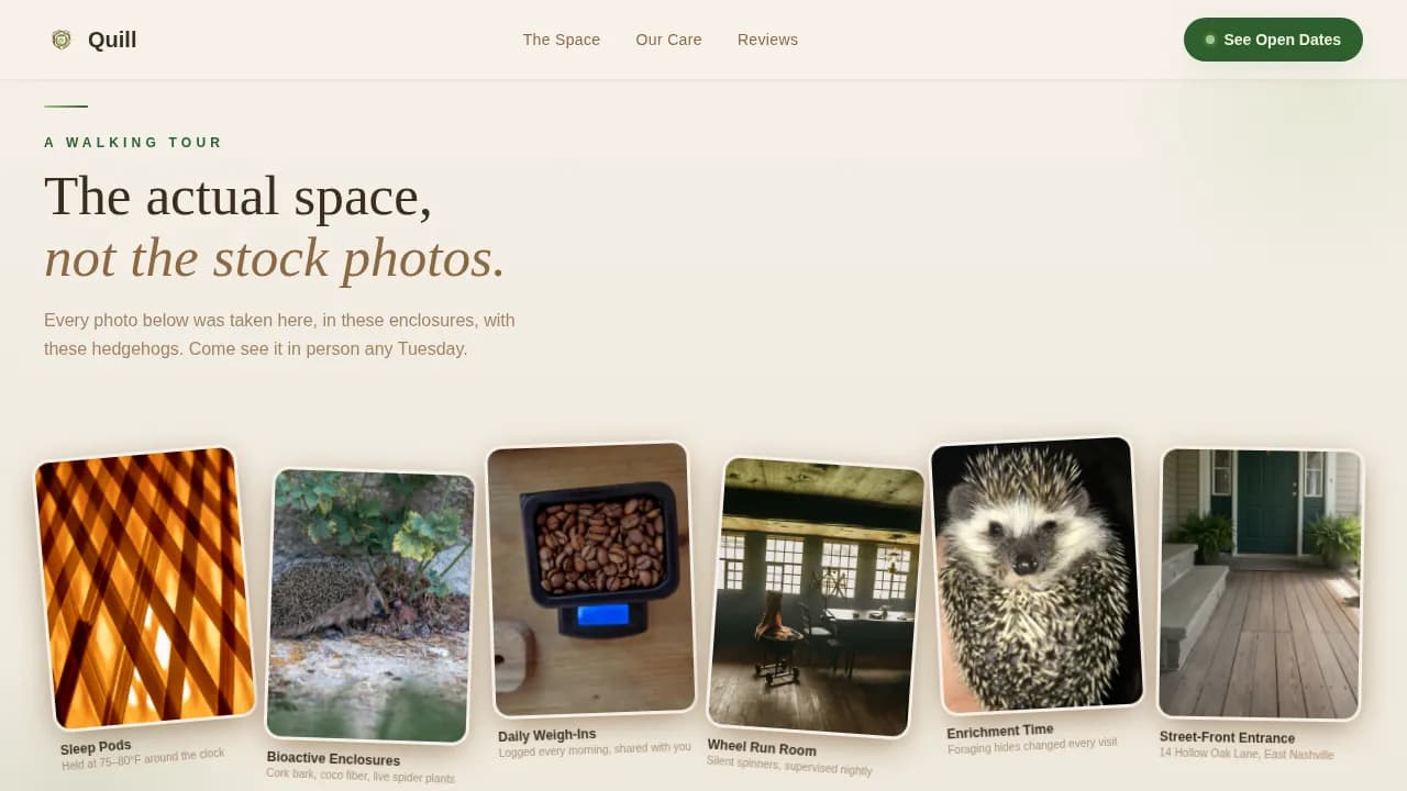 Hedgehog Booking Website Template
