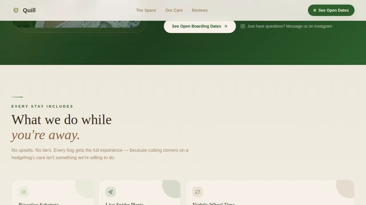 Hedgehog Booking Website Template