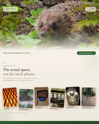 Hedgehog Booking Website Template