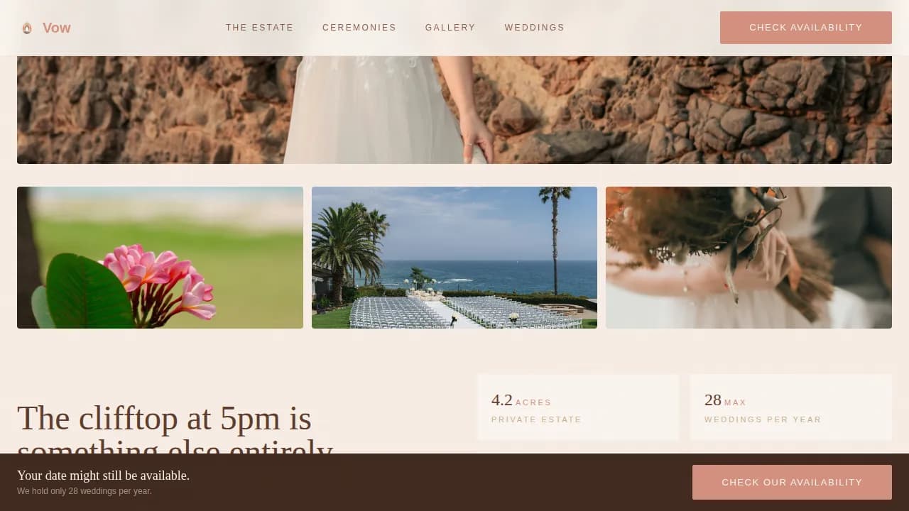 Tropical Wedding Professional Website Template