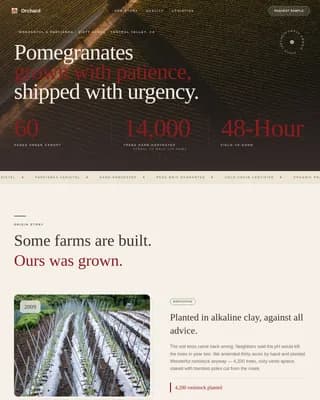 Harvest — Premium Pomegranate Estate Landing Page Template