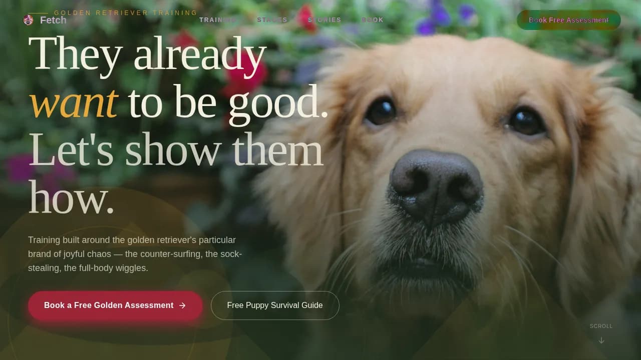 Dog Certified Booking Website Template