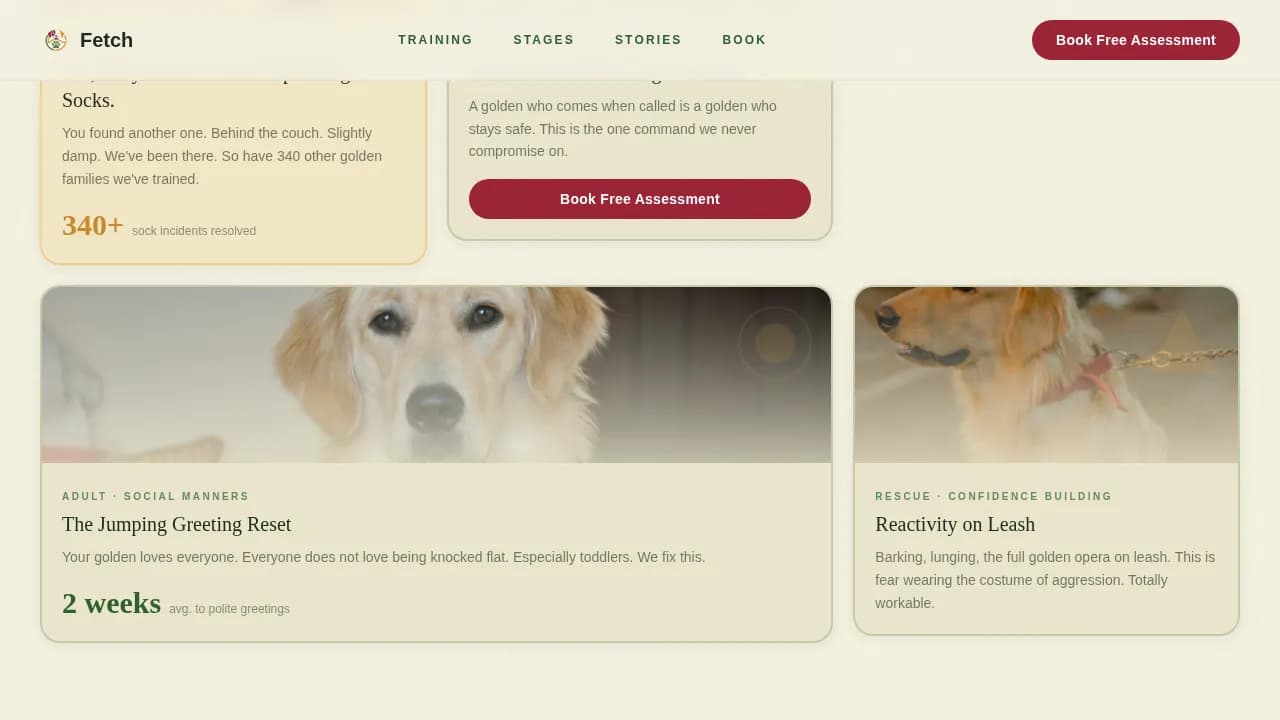Dog Certified Booking Website Template